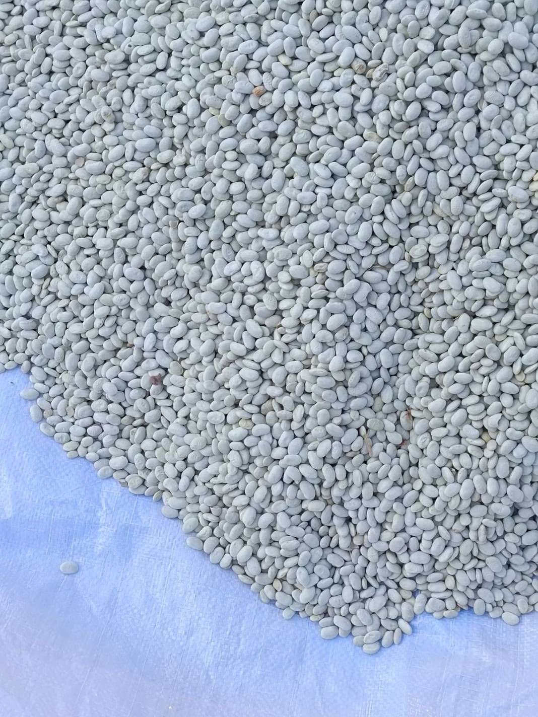 Konya’nın yüzde 100 yerli pazarı 18